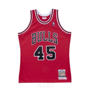Mitchell & Ness NBA Authentic Jersey Chicago Bulls 1994-95 Michael Jordan