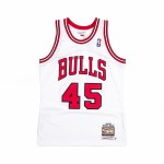 Mitchell & Ness NBA Authentic Jersey Chicago Bulls 1994-95 Michael Jordan