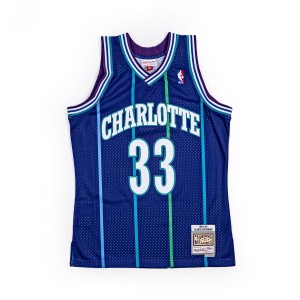Mitchell & Ness NBA Swingman Jersey Charlotte Hornets Alternate 1994-95 Alonzo Mourning