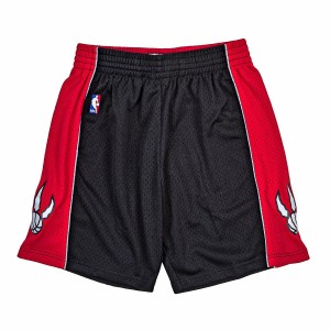 Mitchell & Ness NBA Swingman Shorts Toronto Raptors 2012-13