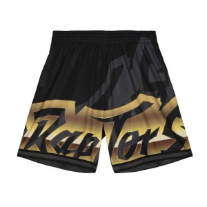 Mitchell & Ness NBA Big Face 4.0 Fashion Short Toronto Raptors Black