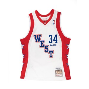 Mitchell & Ness NBA Swingman White Jersey All Star East 2004 Ray Allen