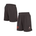 ataf_pl__0015_mens-nike-brown-cleveland-browns-2024-sideline-performance-mesh-shorts_ss5_p-200497597+pv-1+u-8hjpe4dpisge.jpg