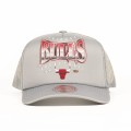 ataf_pl_nba__0006_bulls5.jpg