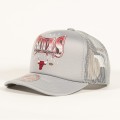 ataf_pl_nba__0008_bulls2.jpg