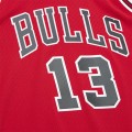 nba_ataf__0008_14-swingman-jersey_ss5_p-202118393+pv-4+u-v9du9s0z1sepxm73nzlc+v-i1msqeughzgeabqv7fpf.jpg