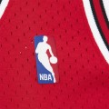 nba_ataf__0007_14-swingman-jersey_ss5_p-202118393+pv-5+u-v9du9s0z1sepxm73nzlc+v-3krrwgkb6j6jddguwtgk.jpg