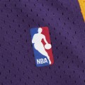 nba_ataf__0020_10-swingman-jersey_ss5_p-202118390+pv-5+u-xr6esfppacpeynhcsxb5+v-yfbj7fxpua8sfyigk34q.jpg