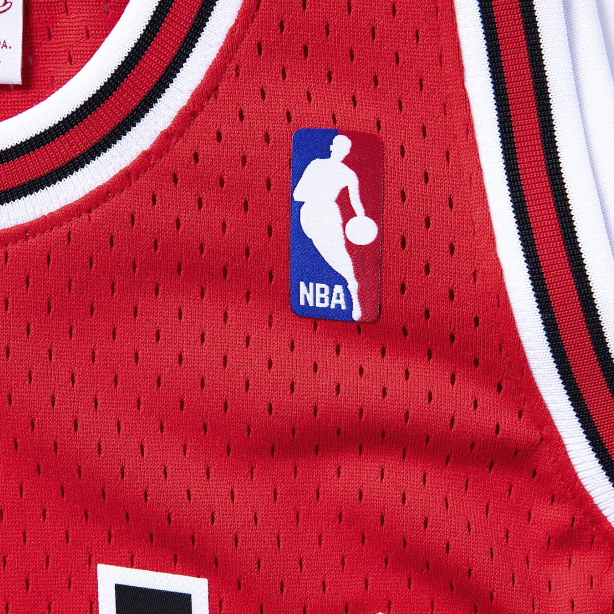Mitchell & Ness NBA Swingman New Jersey Nets 1990-91 Men Shorts Pattern/Royal